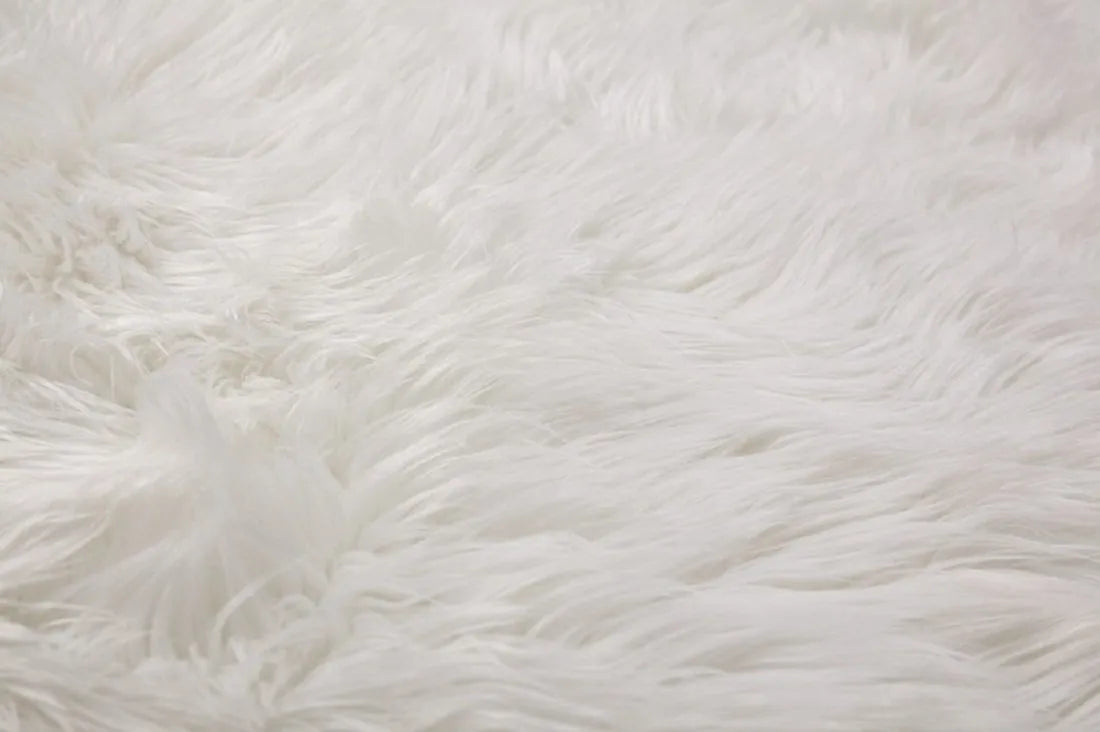 Avioni Home Premium Long Fur Rug – Soft, Shaggy & Fluffy Carpet – Snow White